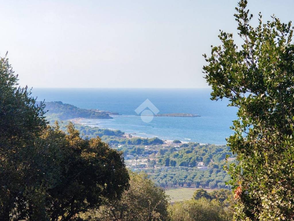 Rustico / casale a Vieste in LOCALITA' SAN PAOLO - Foto 4