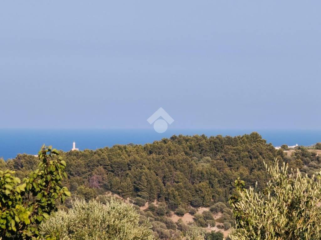Rustico / casale a Vieste in LOCALITA' SAN PAOLO - Foto 5