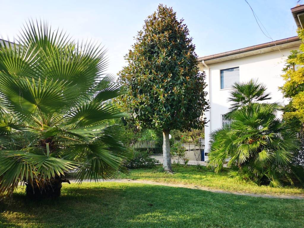 Villa a Alba adriatica in Via Andrea Bafile, 91 - Foto 4