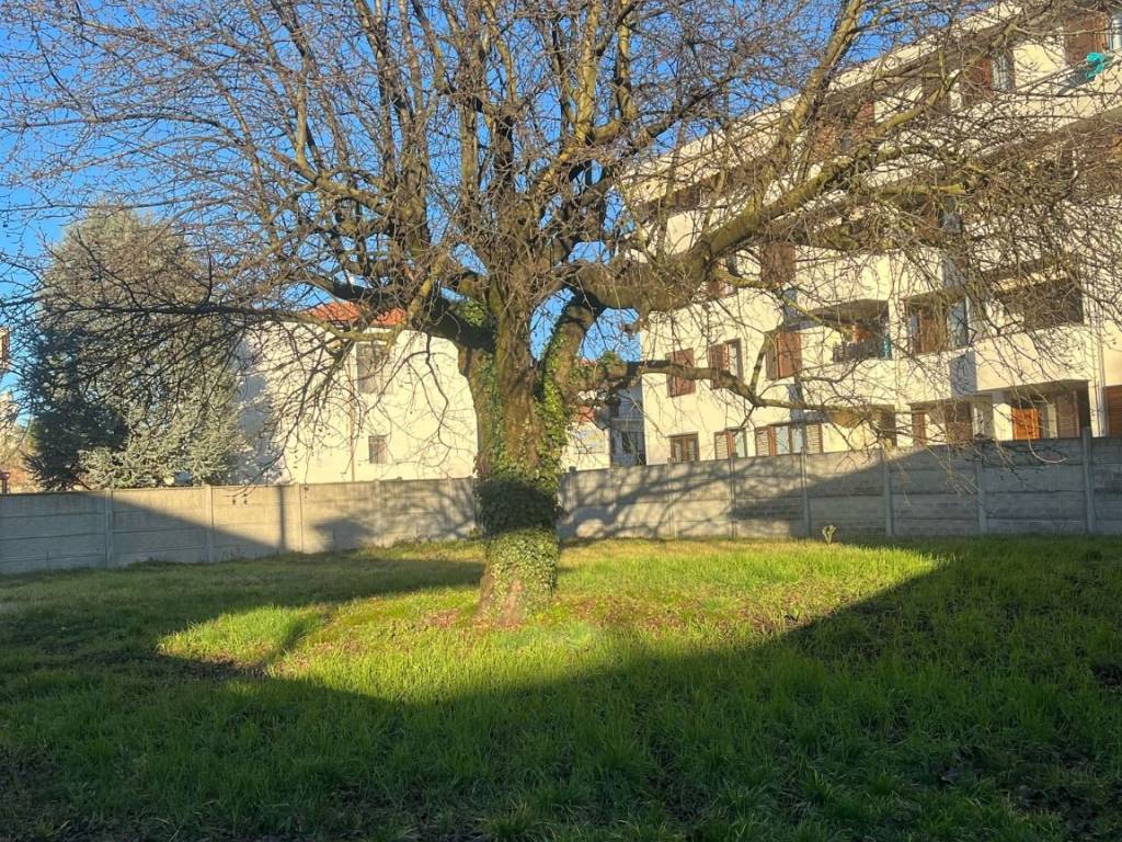 Terreno a Cardano al campo in Via P. Grossoni - Foto 4
