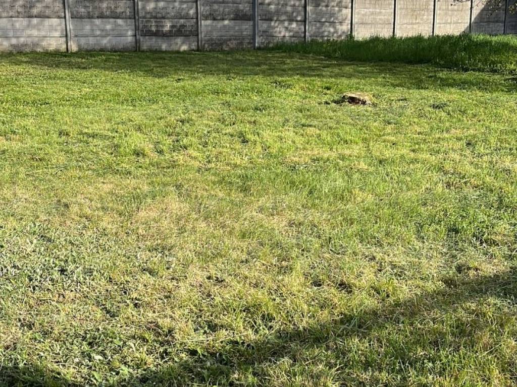 Terreno a Cardano al campo in Via P. Grossoni - Foto 5