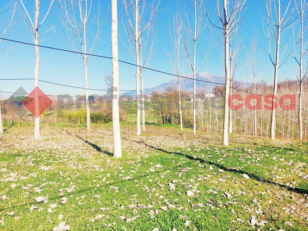 Rustico / casale a Pignataro interamna in VIA DEL COLLE, 0 - Foto 2