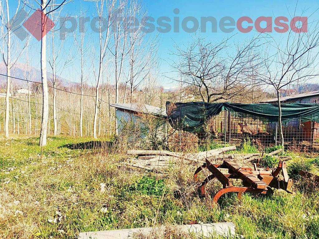 Rustico / casale a Pignataro interamna in VIA DEL COLLE, 0 - Foto 3