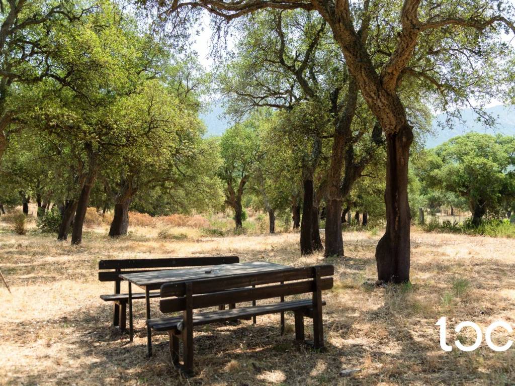 Villa a Padru - Foto 4
