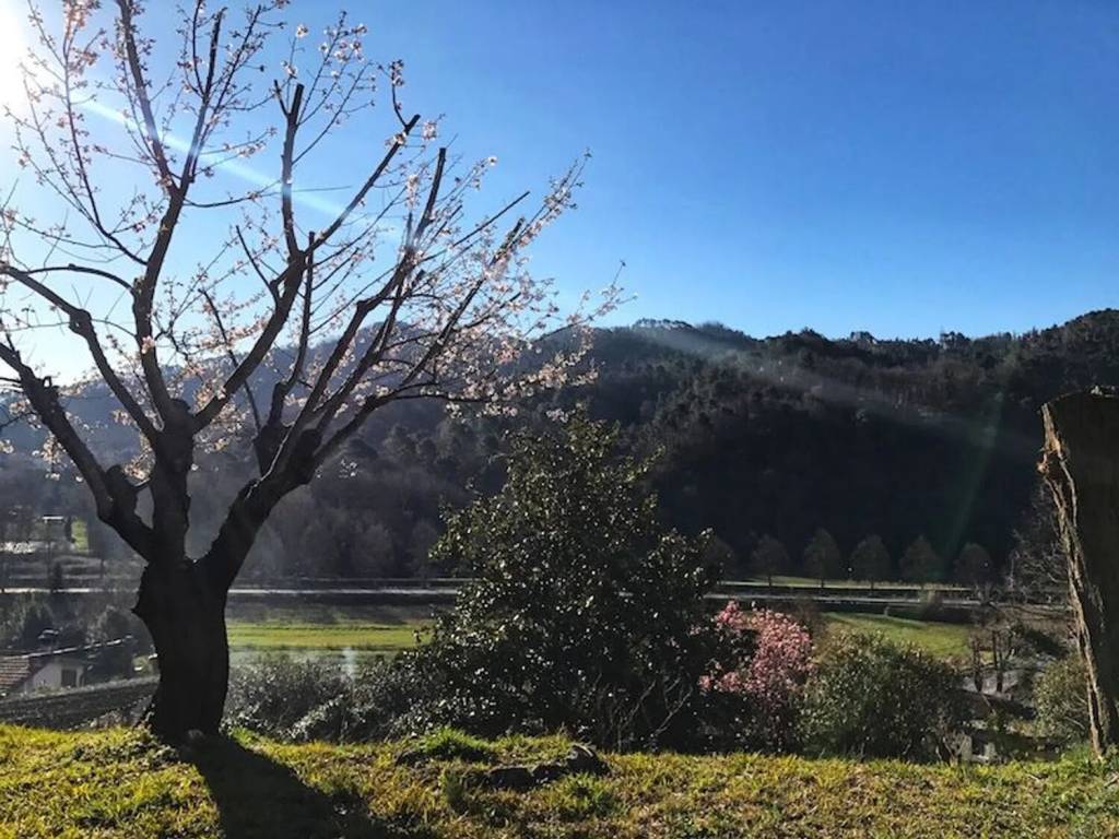 Villa a Camaiore in Via Belvedere - Foto 3