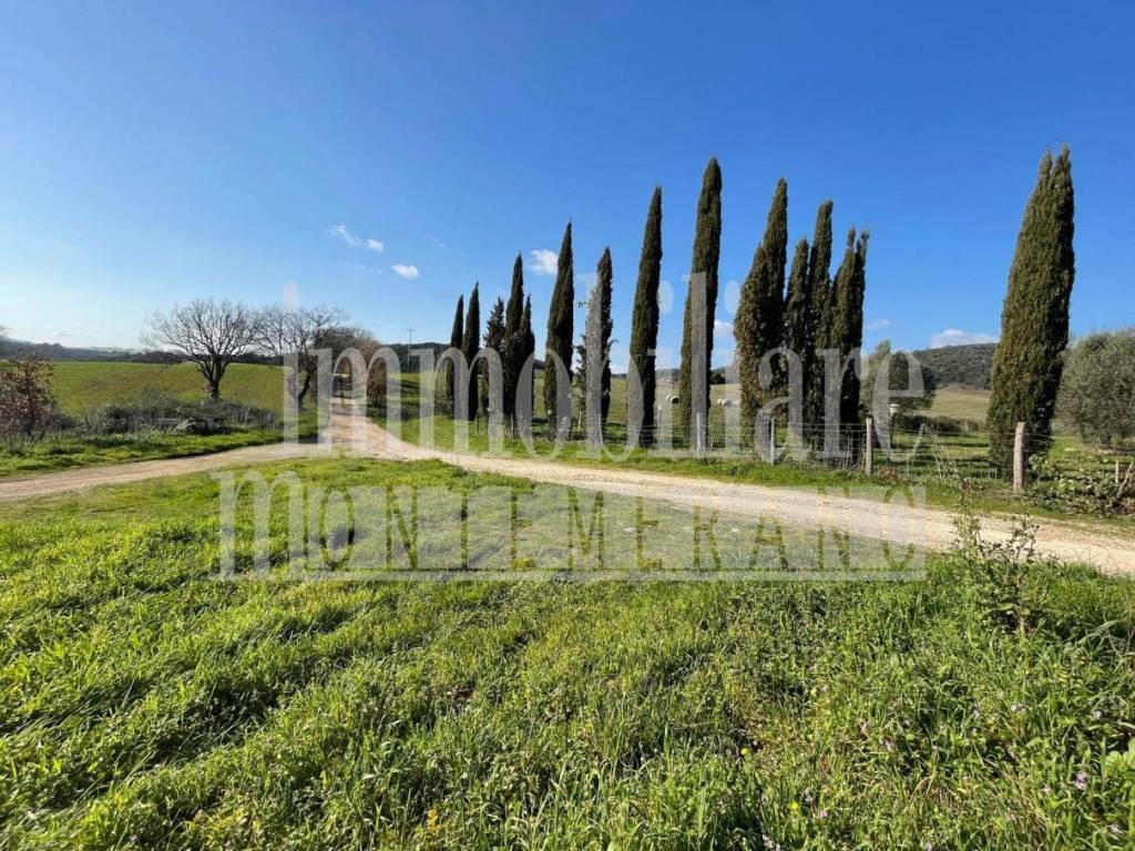 Rustico / casale a Manciano in Strada Provinciale Campigliola - Foto 2