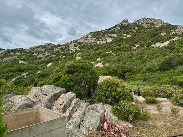 Rustico / casale a Arzachena in SP13 - Foto 5