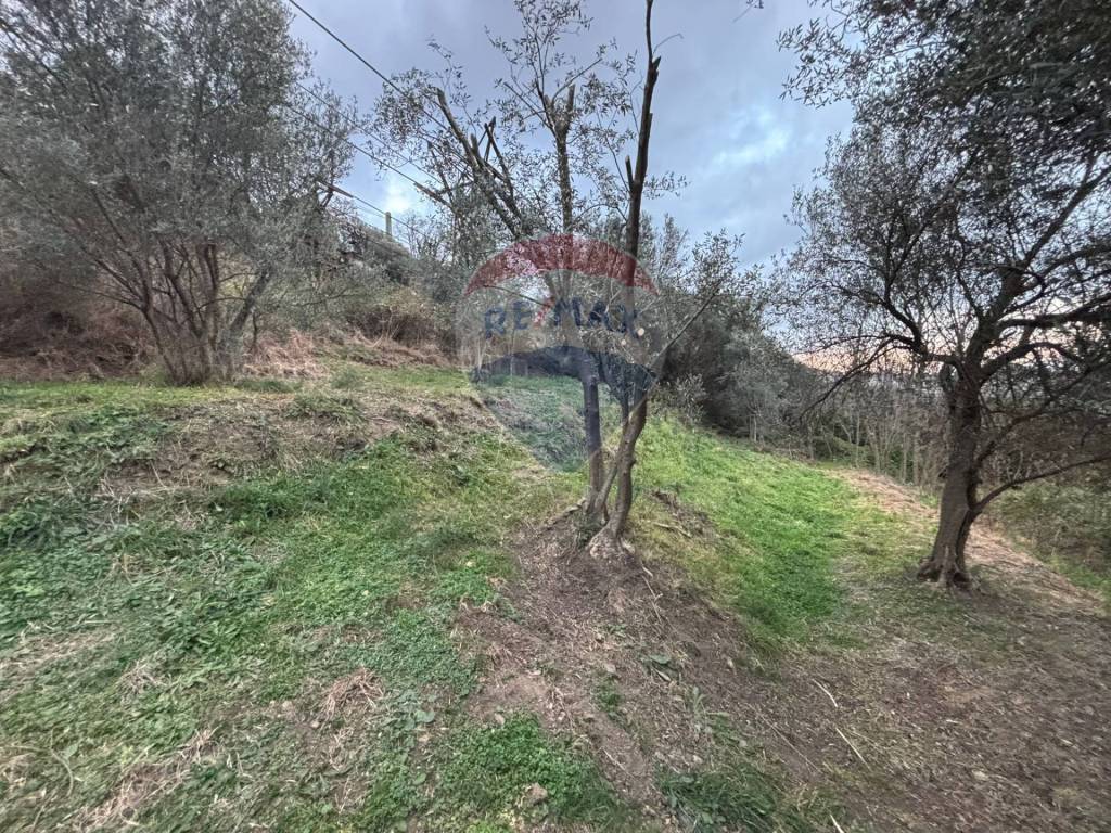 Terreno a Savona - Foto 2