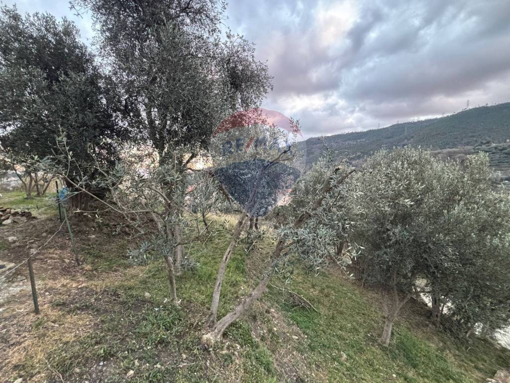 Terreno a Savona - Foto 3