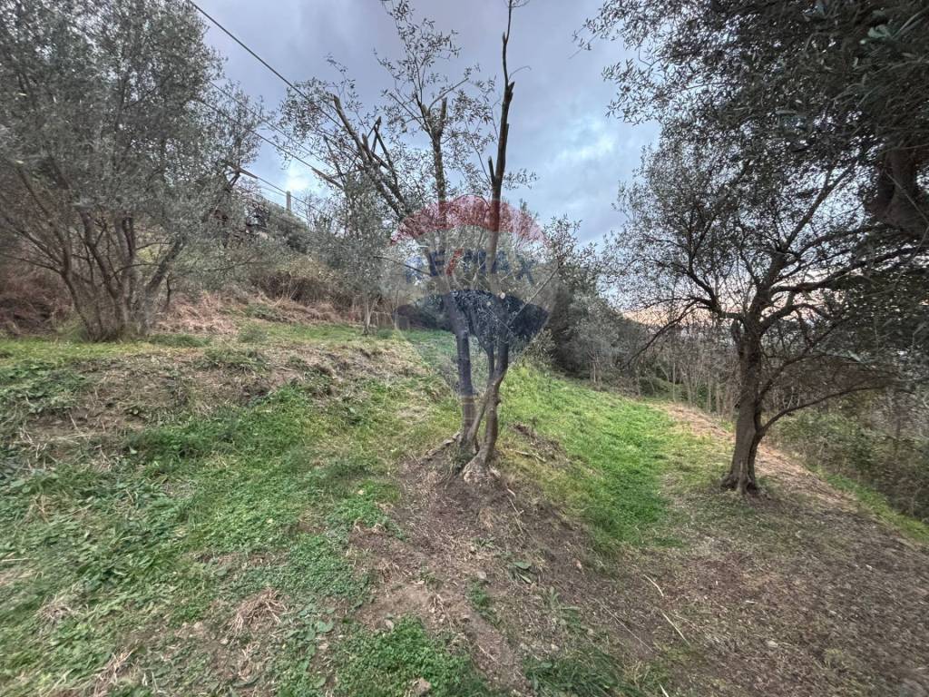 Terreno a Savona - Foto 4