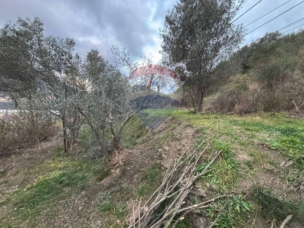 Terreno a Savona - Foto 5