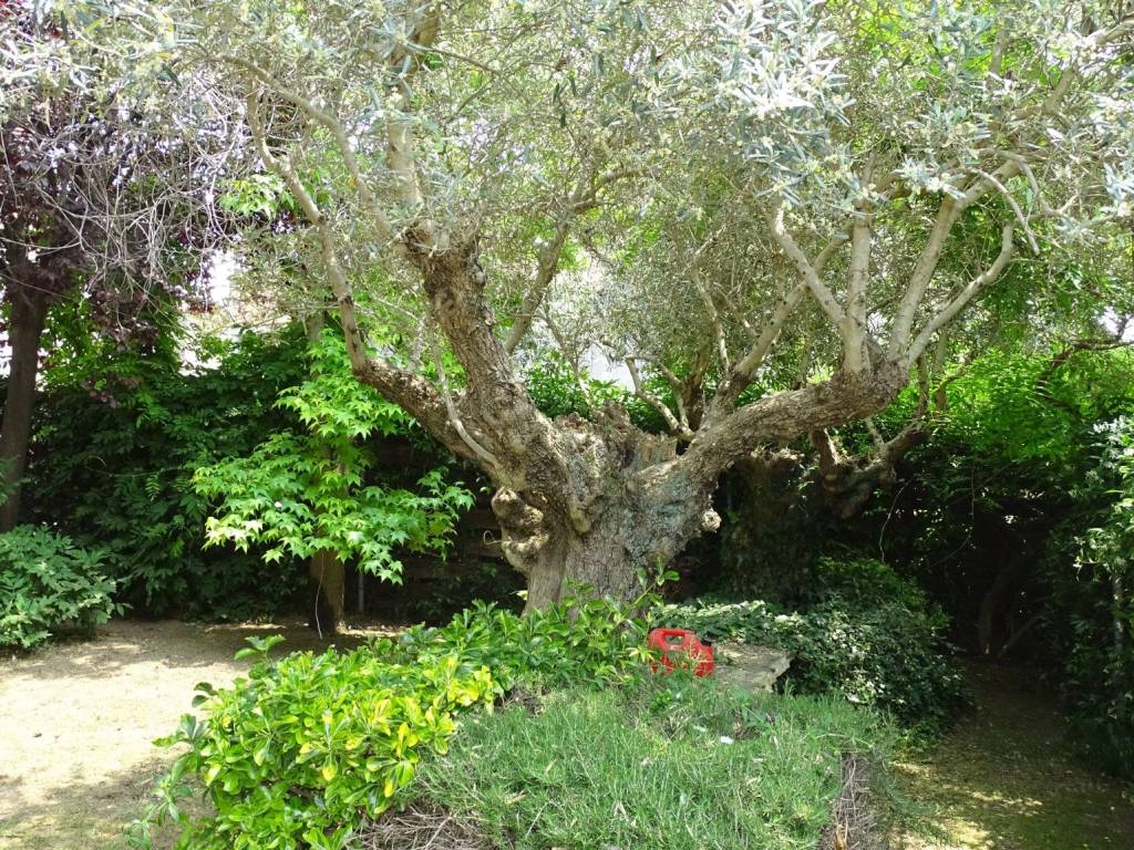 Rustico / casale a Montefiascone in Via Fiordini, 15 - Foto 5