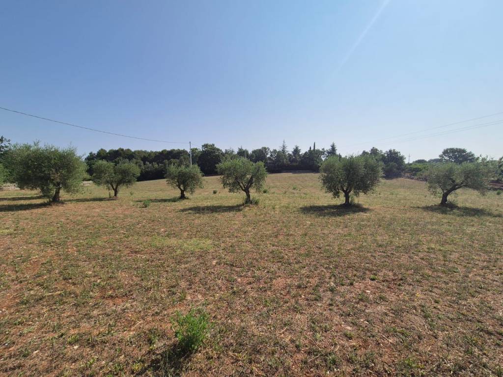 Rustico / casale a Cisternino in Contrada Sisto - Foto 3
