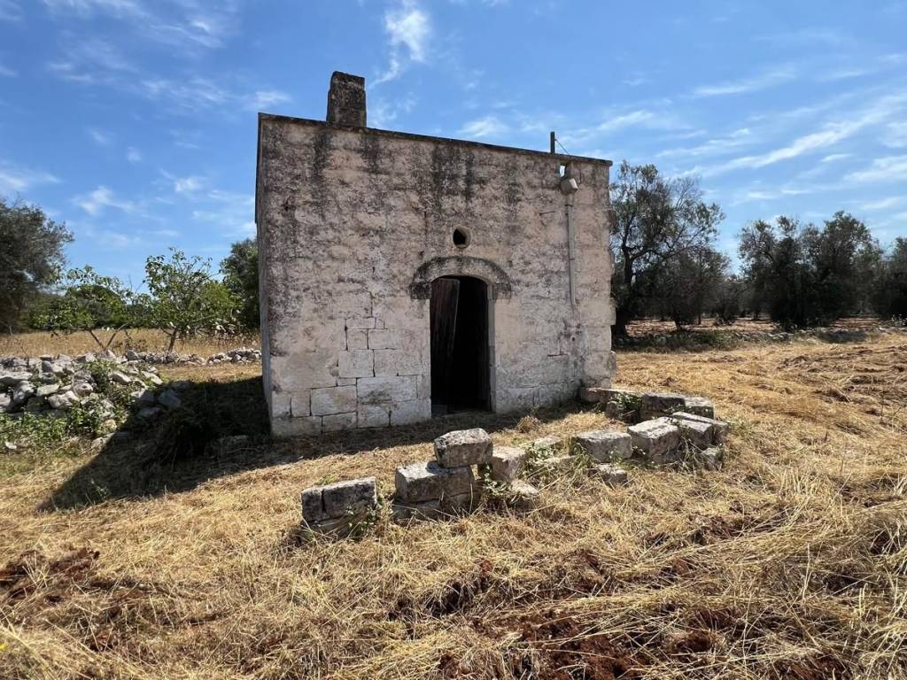 Rustico / casale a Ostuni in Contrada Polinisso - Foto 2