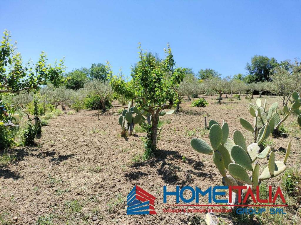 Villa a Piana degli albanesi - Foto 4