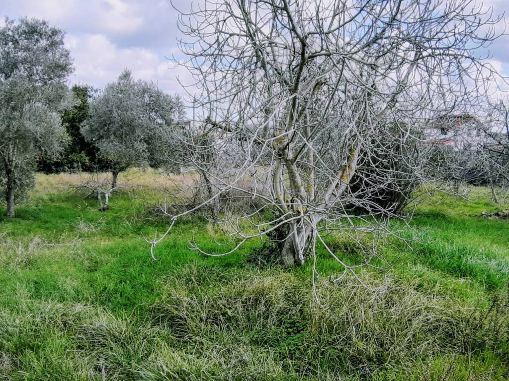 Villa a Aprilia in Via Grande - Foto 3