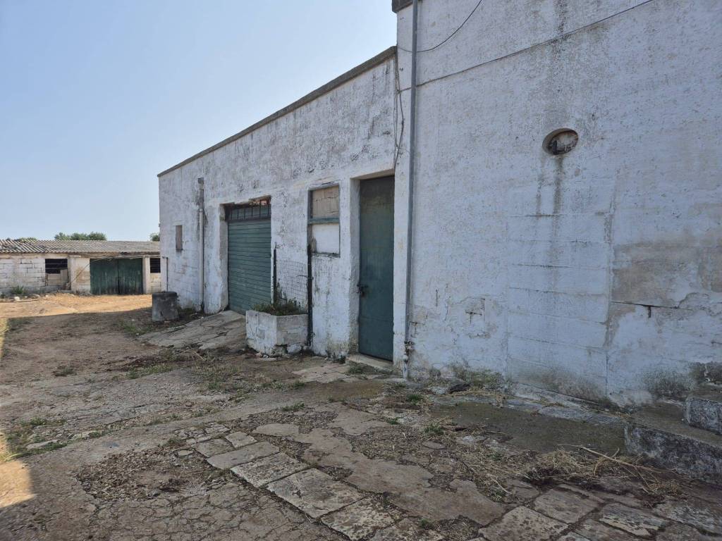 Rustico / casale a Ostuni in Contrada San Leonardo - Foto 5