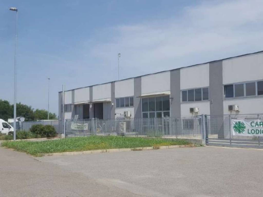 Immobile a Codogno in via Angelo Molinari 3 - Foto 4