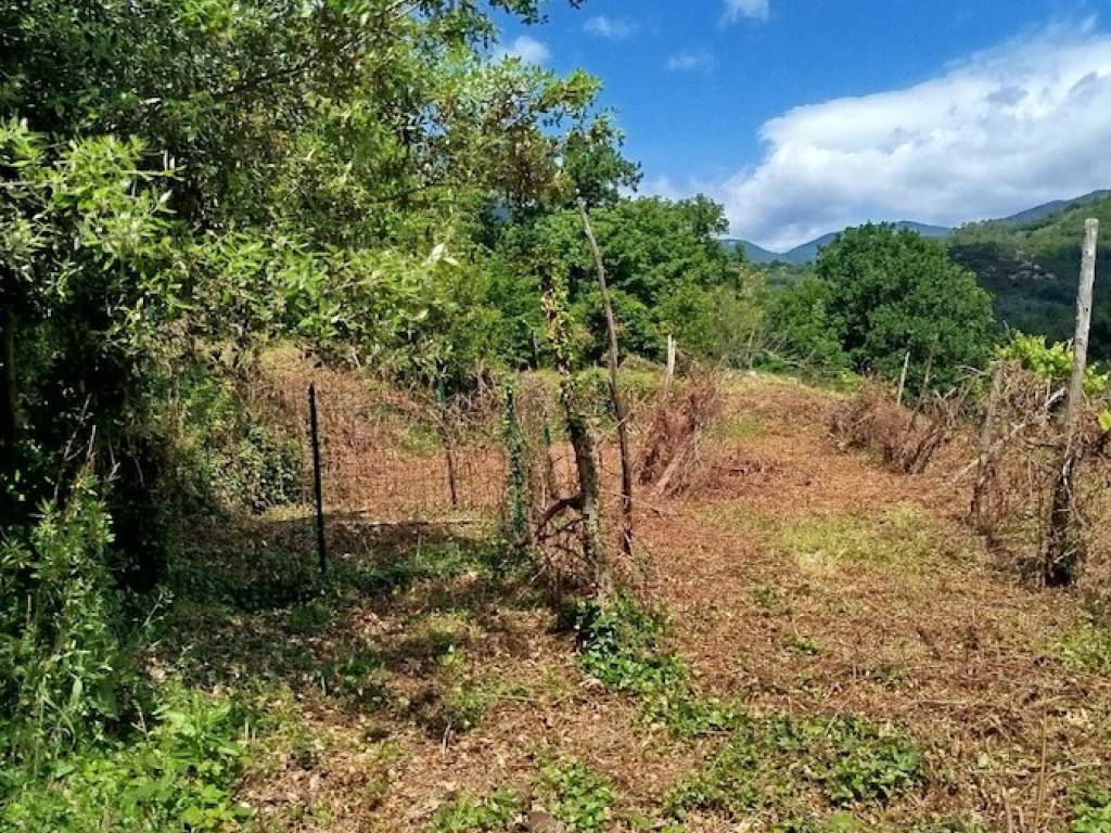 Terreno a Giustenice in Via San Michele - Foto 2