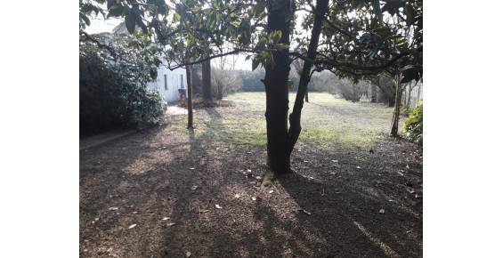 Villa a Alessandria in Via Novi - Foto 4