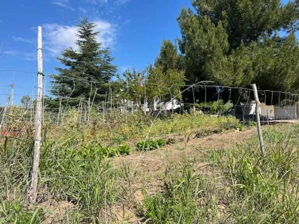 Villa a Torino di sangro - Foto 4