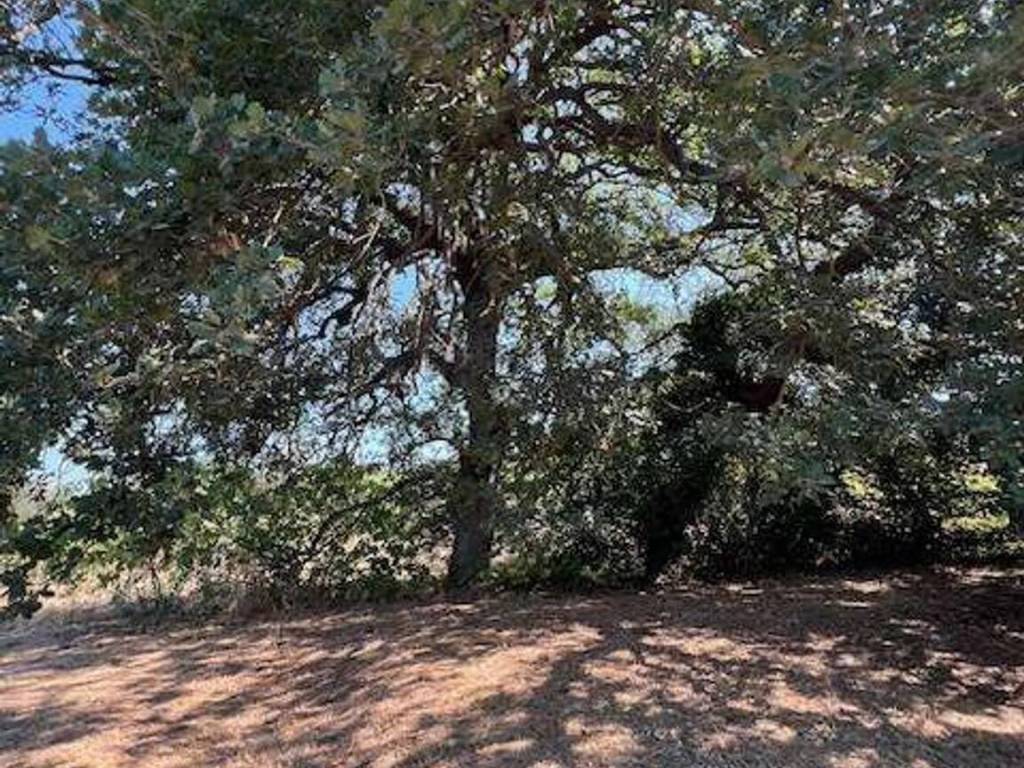 Villa a Torino di sangro in Contrada Quaglialatte, 21 - Foto 3
