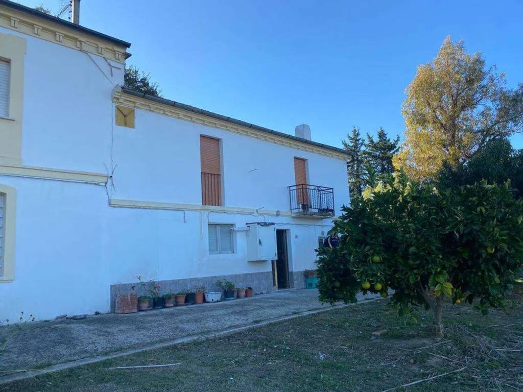 Rustico / casale a Torino di sangro in Contrada Sant'Angelo, 28 - Foto 5