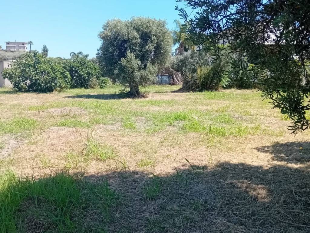 Terreno a Locri - Foto 3