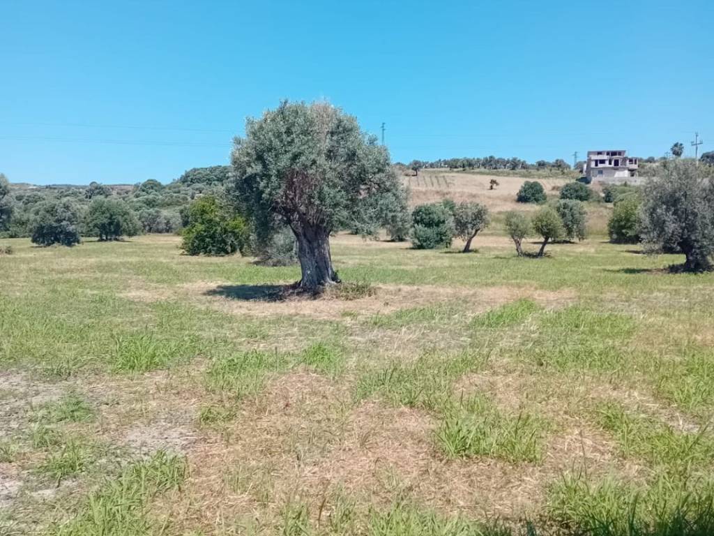 Terreno a Locri - Foto 4