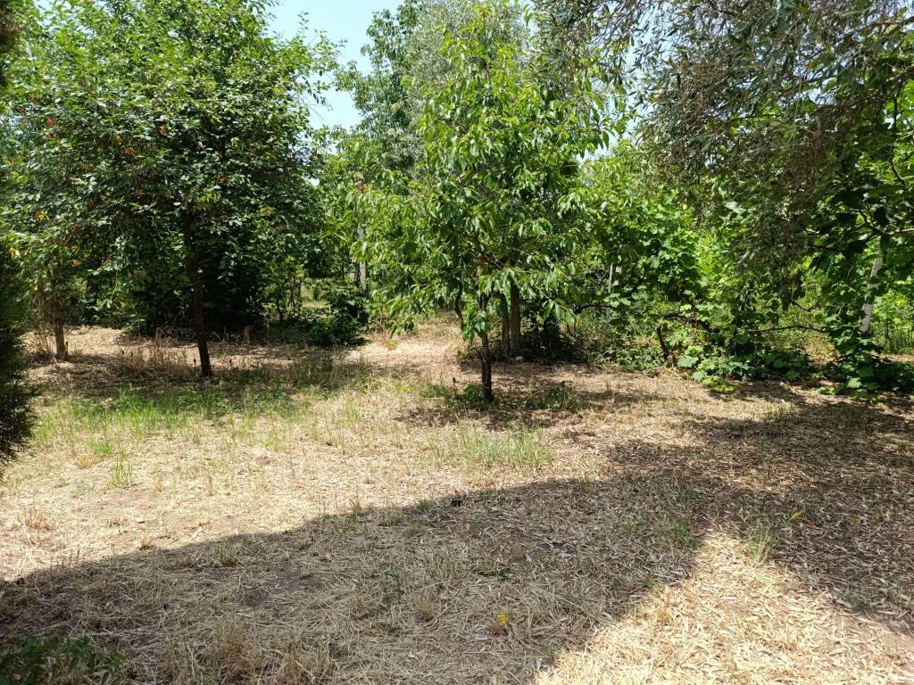 Terreno a Pastorano in Via Sergente Giovanni Bonaccio - Foto 2