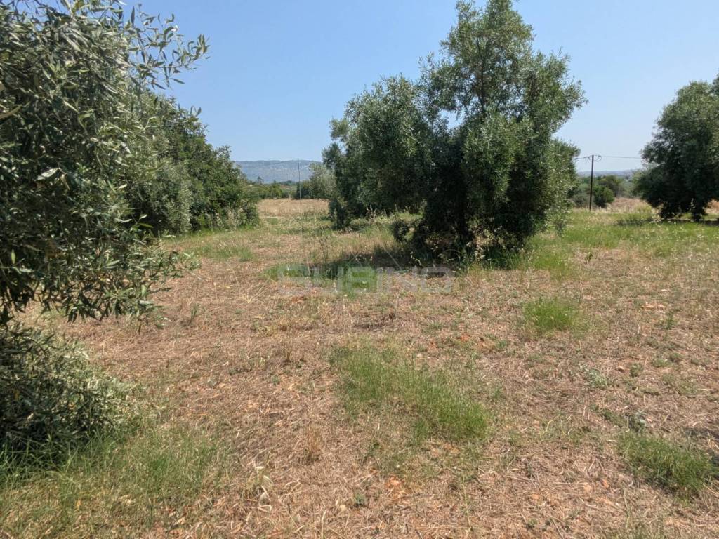 Terreno a Floridia in CONTRADA CUGNO DI CANNE - Foto 2