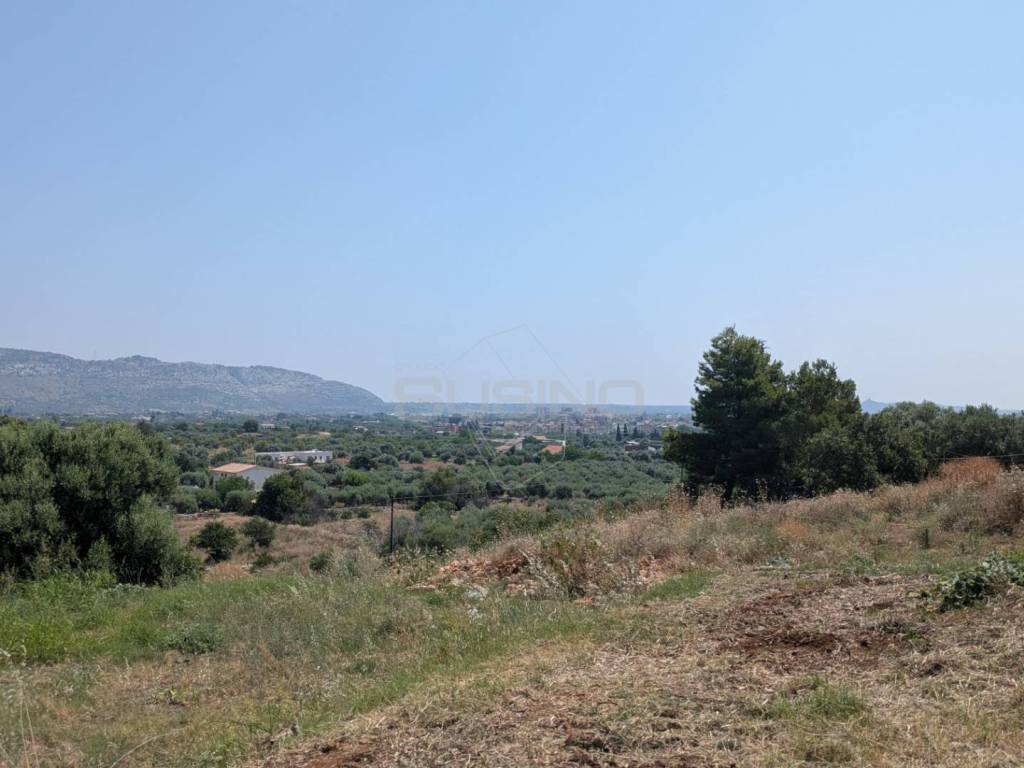 Terreno a Floridia in CONTRADA CUGNO DI CANNE - Foto 5