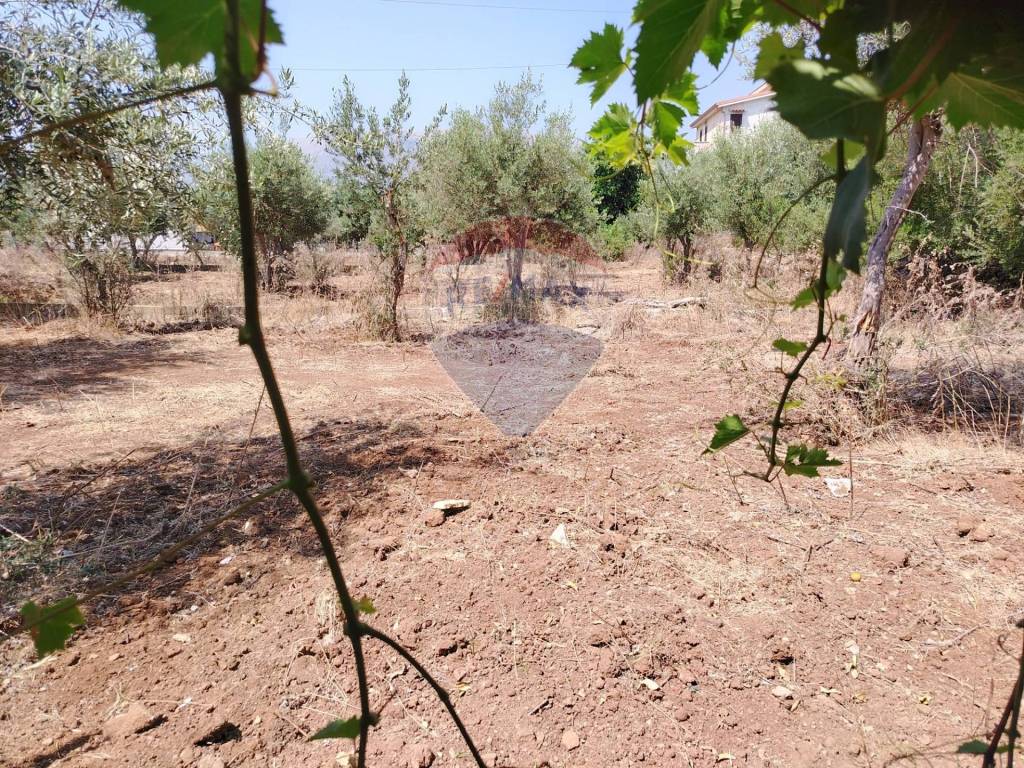 Terreno a Carini - Foto 2