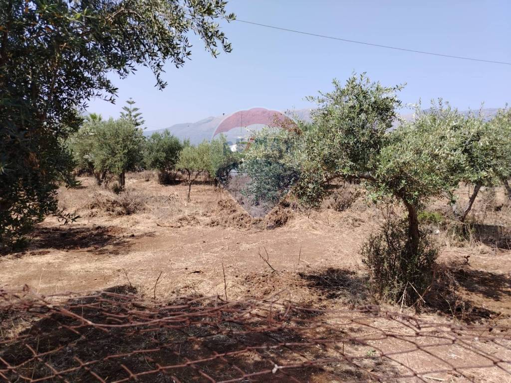 Terreno a Carini - Foto 4