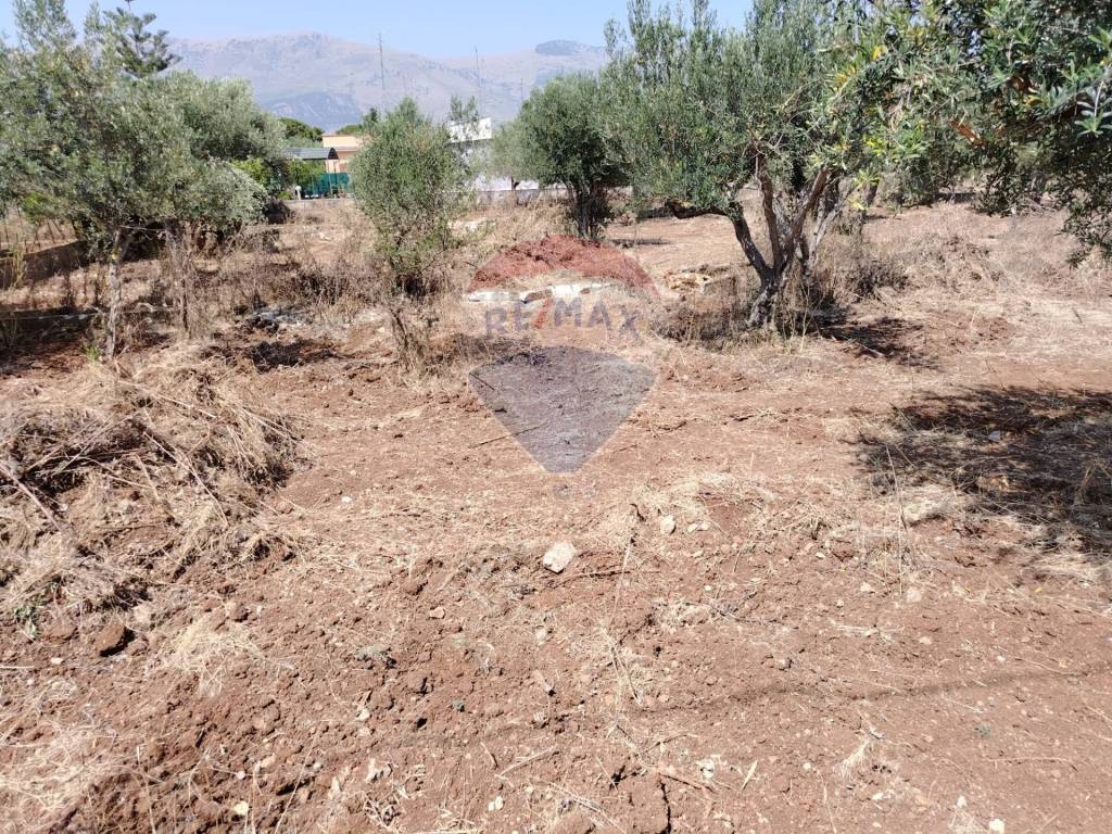 Terreno a Carini - Foto 5