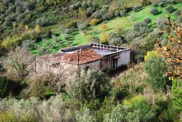 Rustico / casale a Prignano cilento in Vicolo Olmo - Foto 2