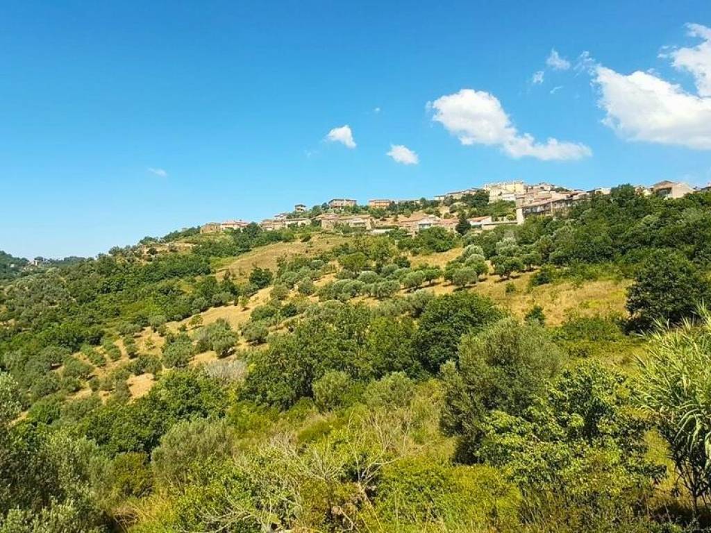 Rustico / casale a Prignano cilento in Vicolo Olmo - Foto 5