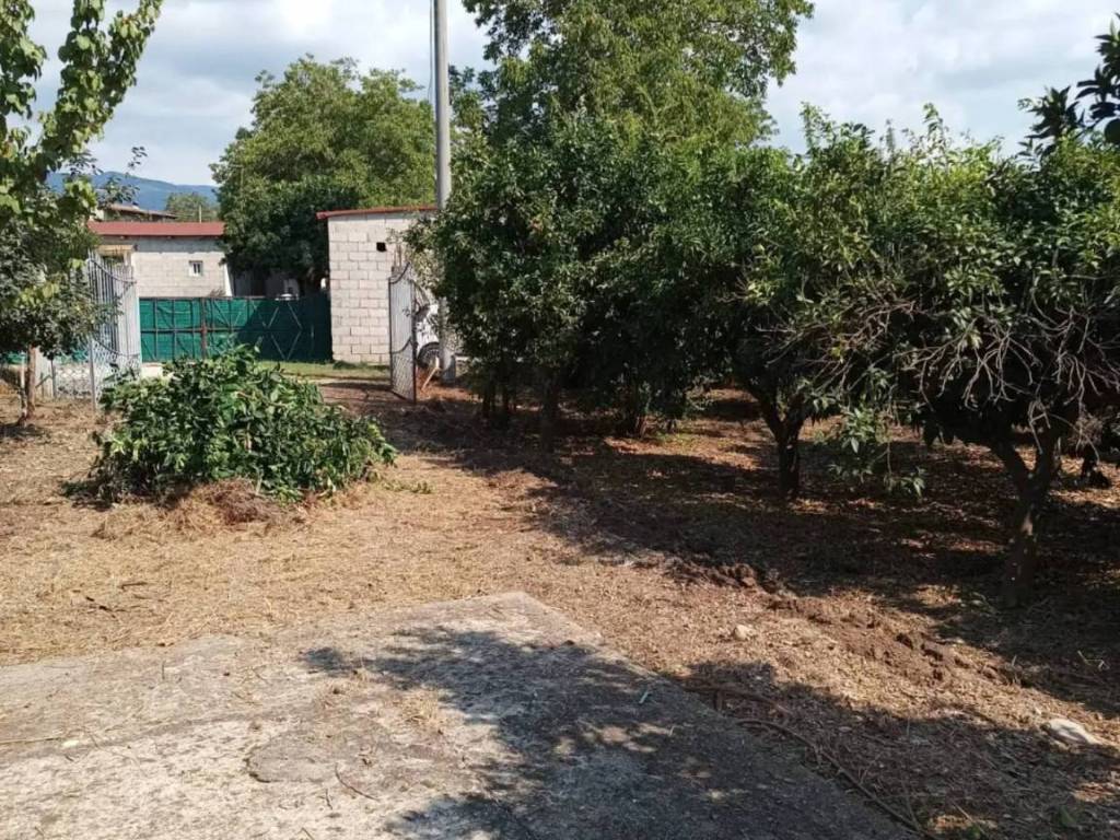 Rustico / casale a Polistena in Via Giuseppe Impastato - Foto 3