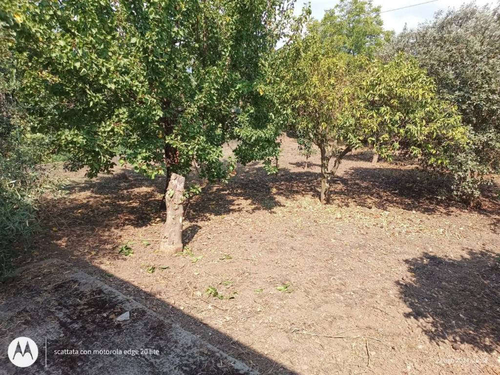 Rustico / casale a Polistena in Via Giuseppe Impastato - Foto 4