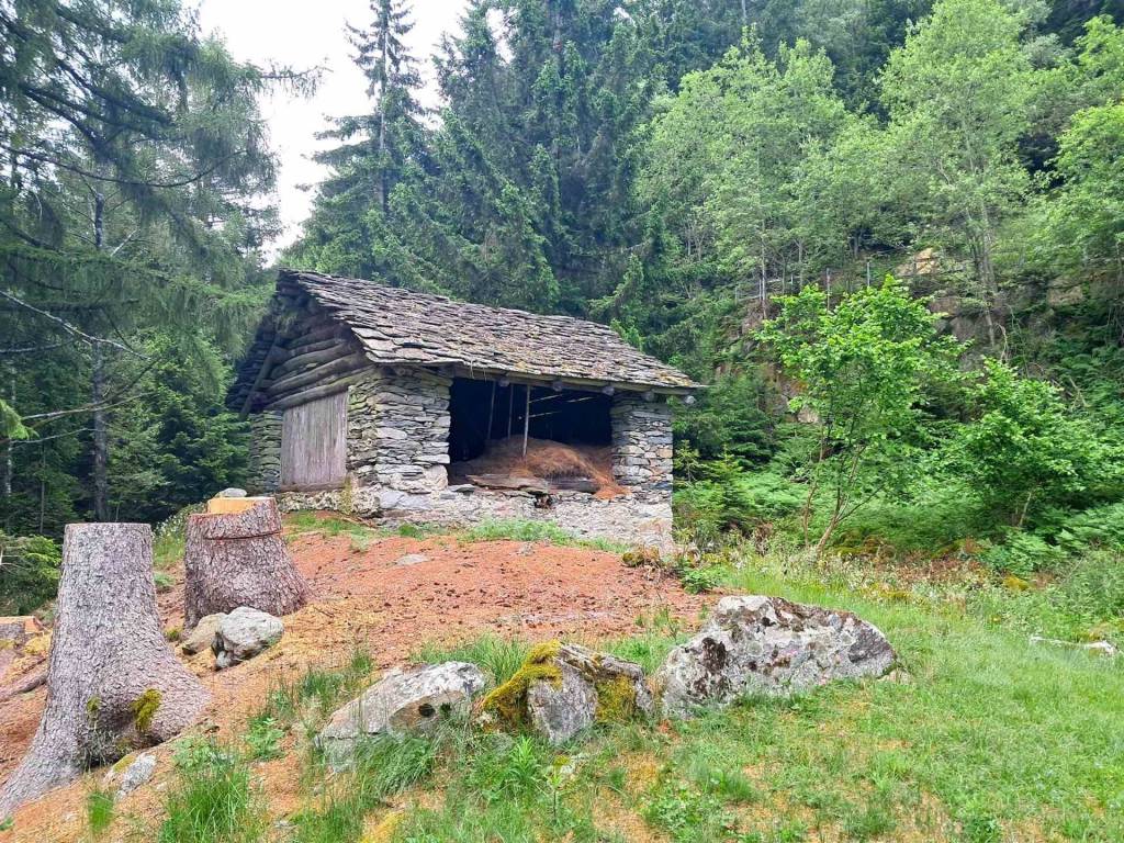 Rustico / casale a Villa di chiavenna in Tabiadascio - Foto 3