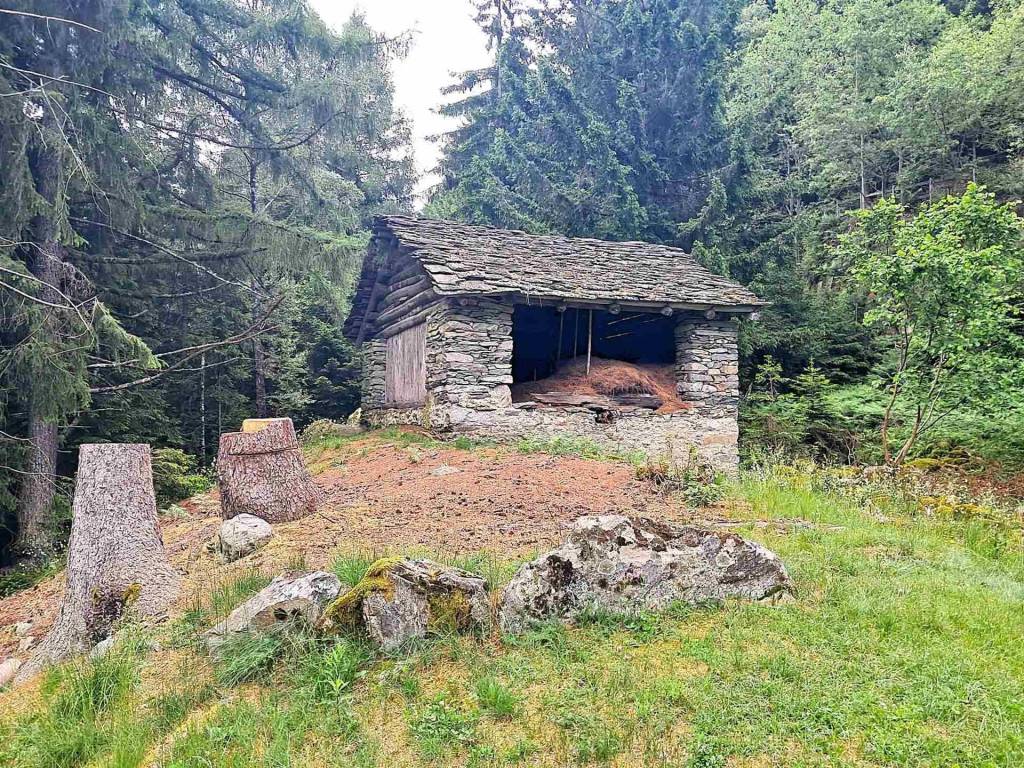 Rustico / casale a Villa di chiavenna in Tabiadascio - Foto 4