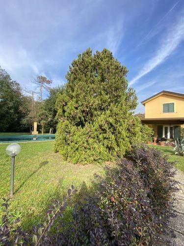 Villa a Castelnuovo magra in Via Palvotrisia, 38 - Foto 3