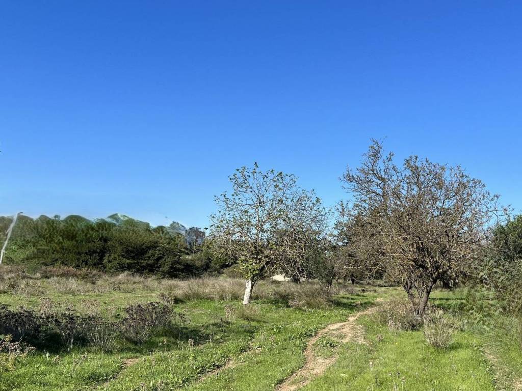 Terreno a Monserrato in Strada S'Ecca e S'Arena - Foto 3