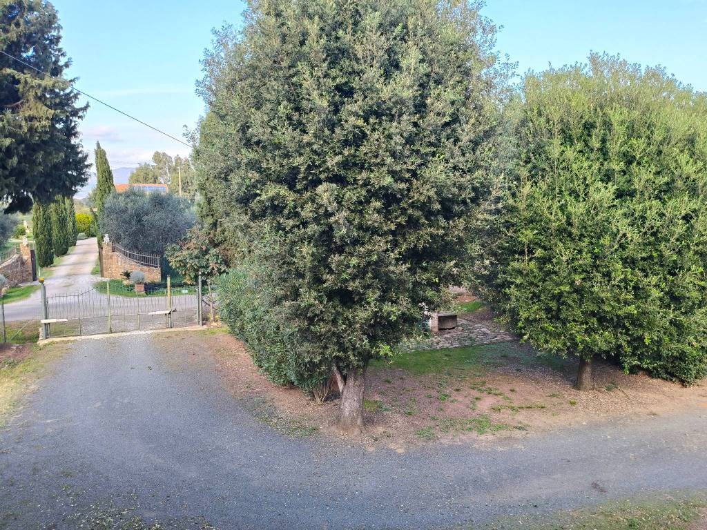 Rustico / casale a Roccastrada - Foto 2