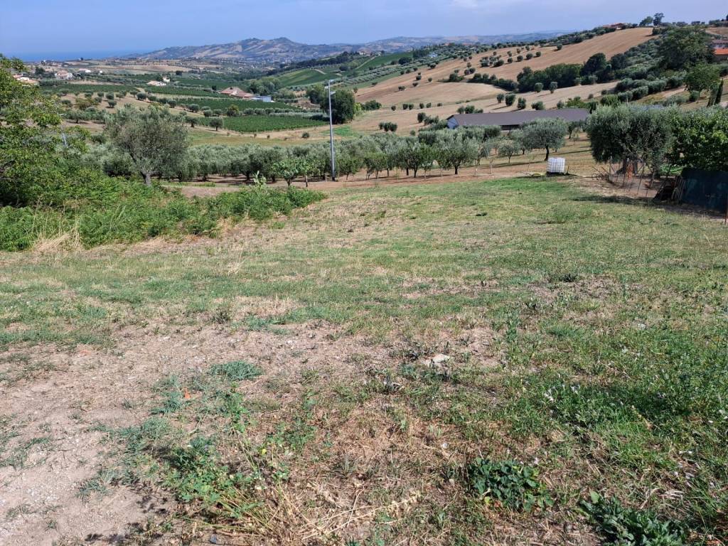 Terreno a Controguerra in Strada Provinciale Gabbiano Controguerra - Foto 3