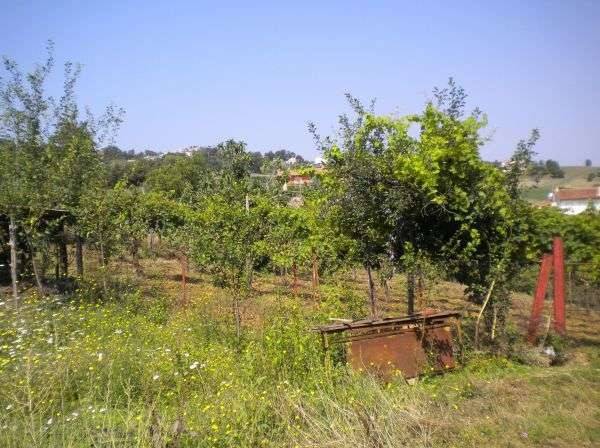 Casa indipendente a Frigento - Foto 4
