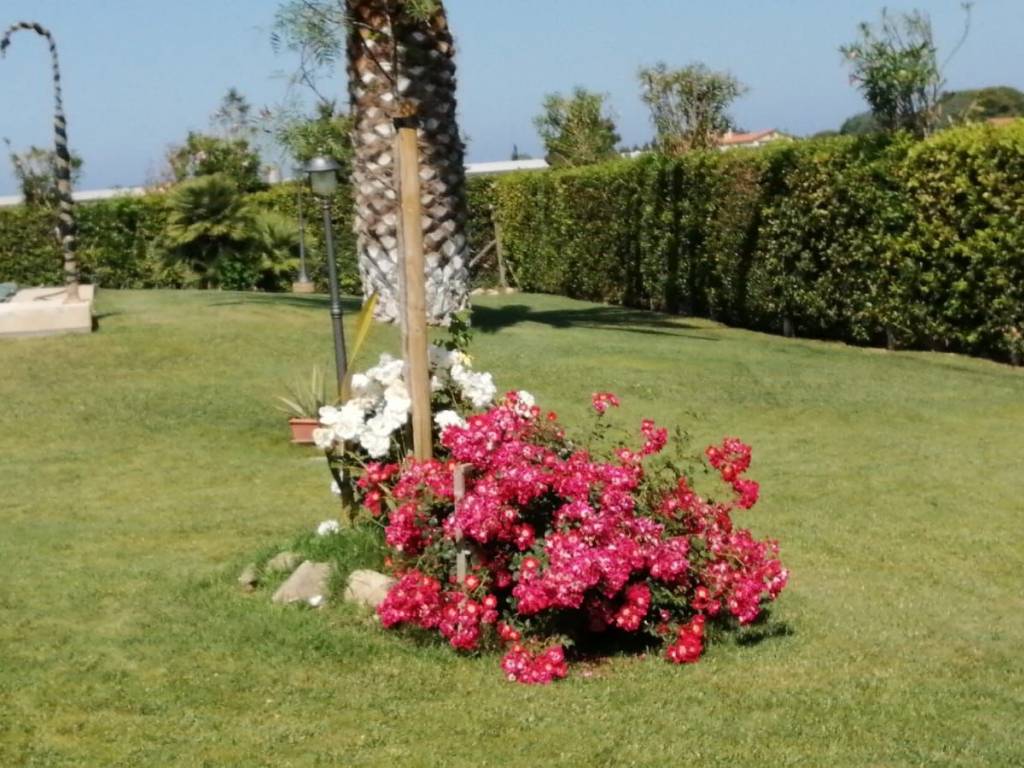 Villa a Castagneto carducci - Foto 2
