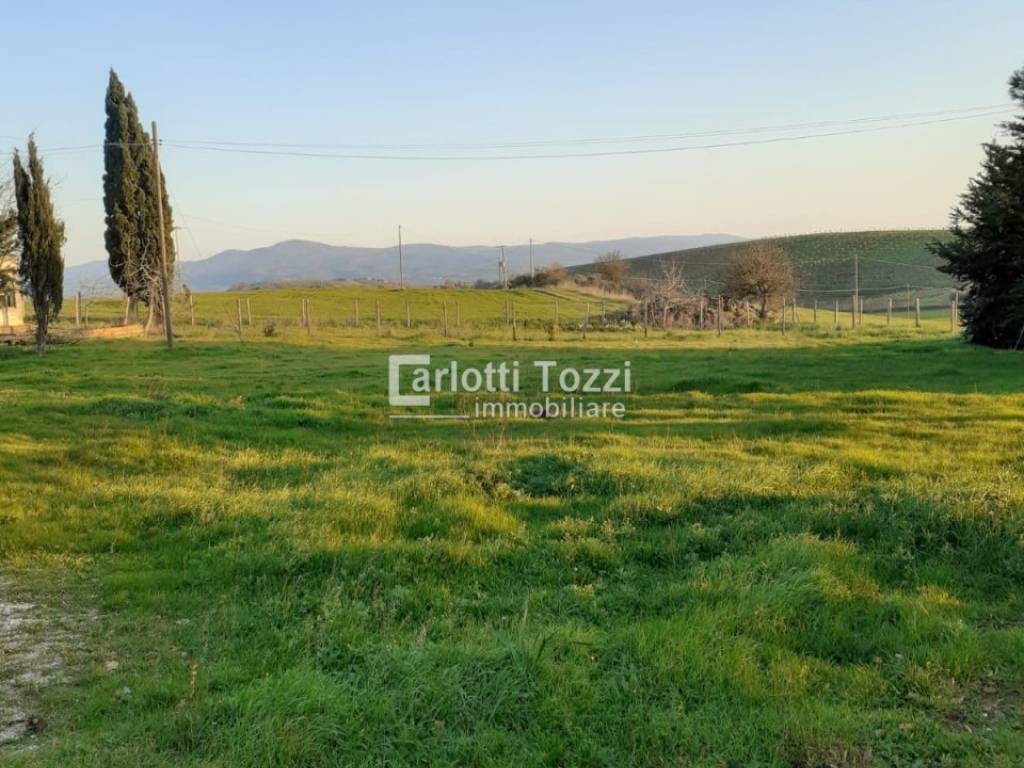Rustico / casale a Campagnatico in Marrucheti - Foto 2
