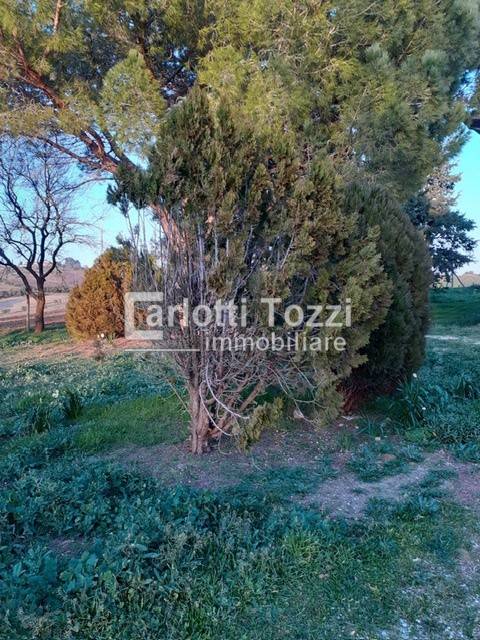 Rustico / casale a Campagnatico in Marrucheti - Foto 4