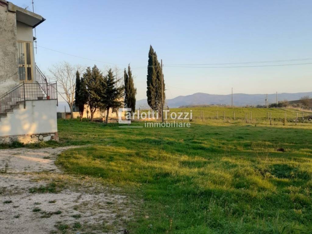 Rustico / casale a Campagnatico in Marrucheti - Foto 5
